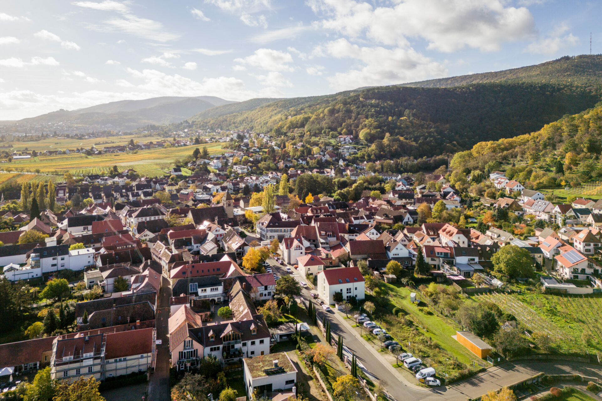 Luftaufnahme des malerischen Dorfs Gimmeldingen mit dichter Bebauung, umgeben von herbstlichen Bäumen und sanften Hügeln in einer berühmten Weinregion unter klarem Himmel.