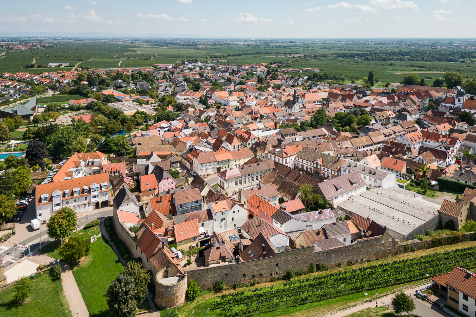 Luftaufnahme eines malerischen europäischen Dorfes, Wachenheim an der Weinstraße, mit Ziegeldächern und umgeben von üppigen Feldern und Weinbergen an einem sonnigen Tag.