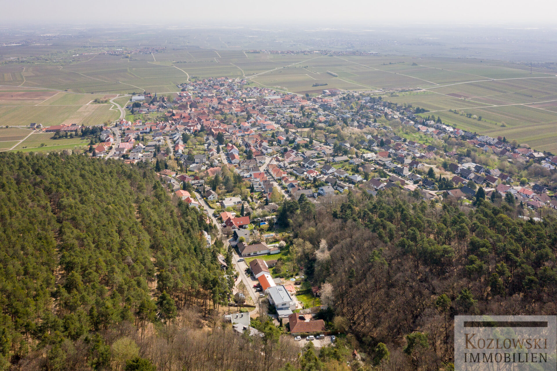 Luftaufnahme von Weisenheim am Berg mit dicht gedrängten Häusern, angrenzend an Ackerland und Waldgebiet, unter klarem Himmel.